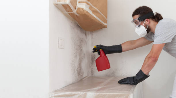 Professional Basement Mold Removal technician working in Barnesville, GA