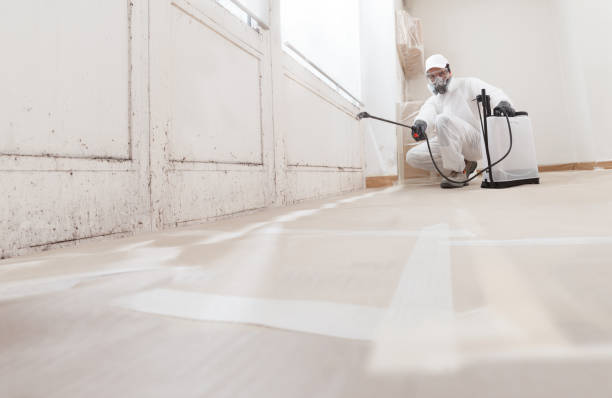 24/7 Emergency Basement Mold Removal experts in Barnesville, GA